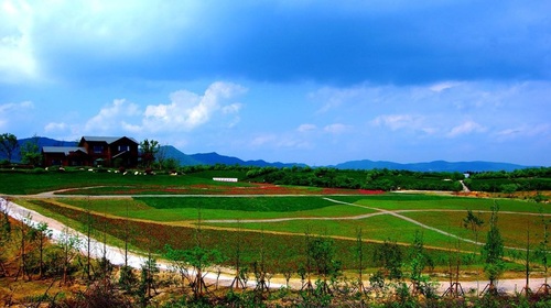 美丽乡村(1).jpg